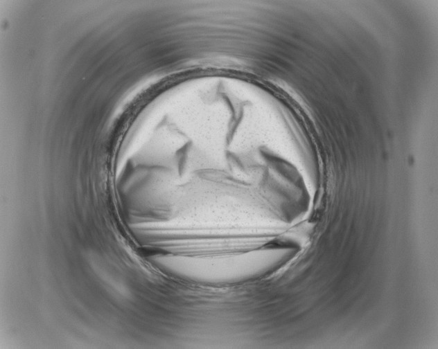 X0000086101115200704202234