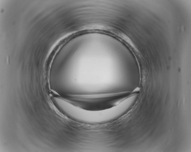 X0000086101116200704202234