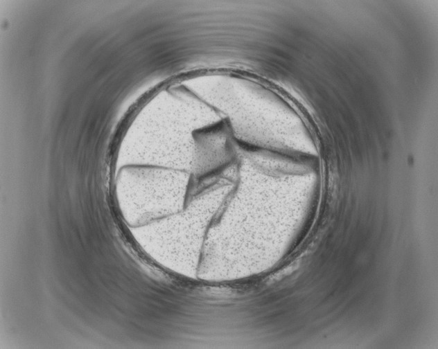 X0000086101119200704202234