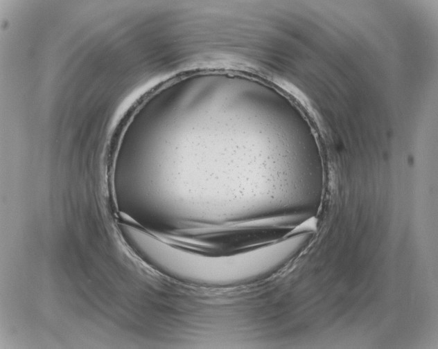 X0000086101120200704202234