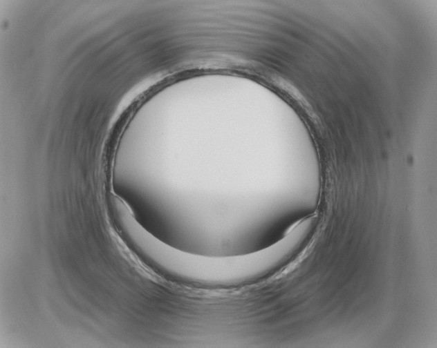X0000086101122200704202234