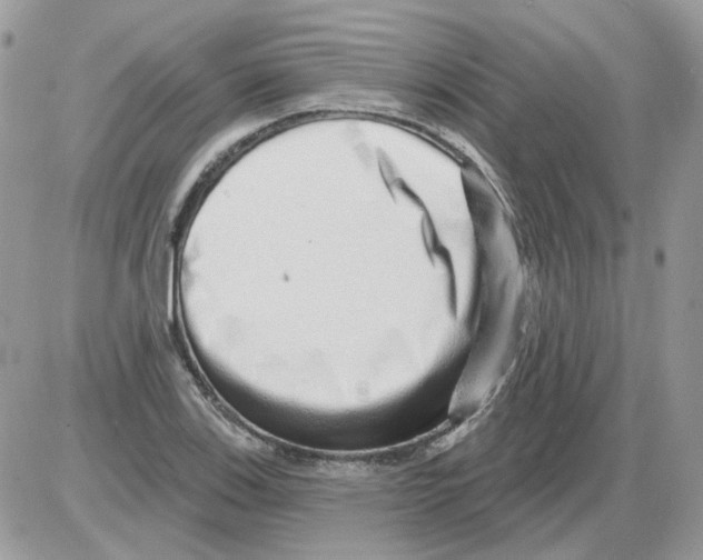 X0000086101123200704202234
