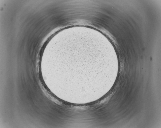 X0000086101126200704202234