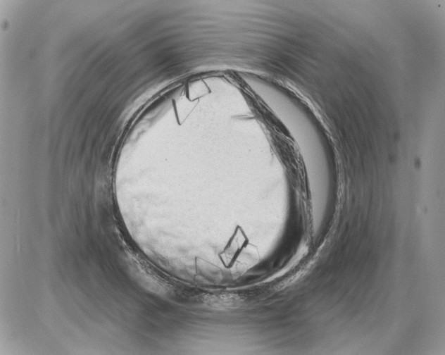 X0000086101129200704202234