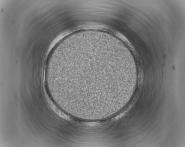 X0000086101130200704202234