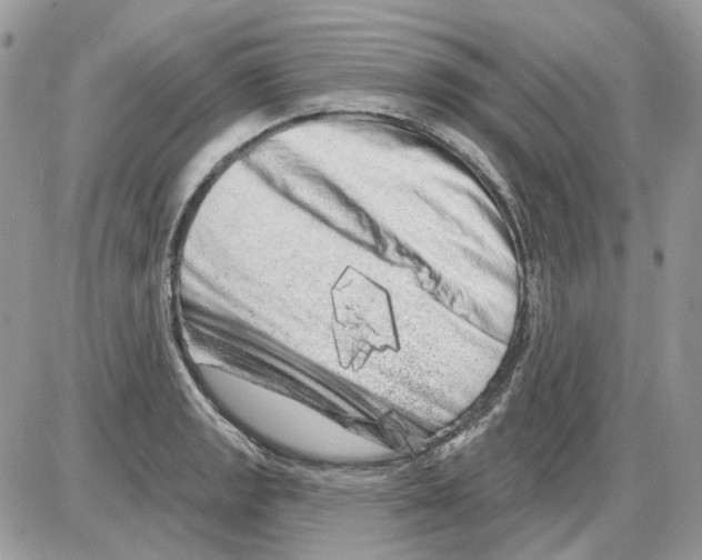 X0000086101133200704202234