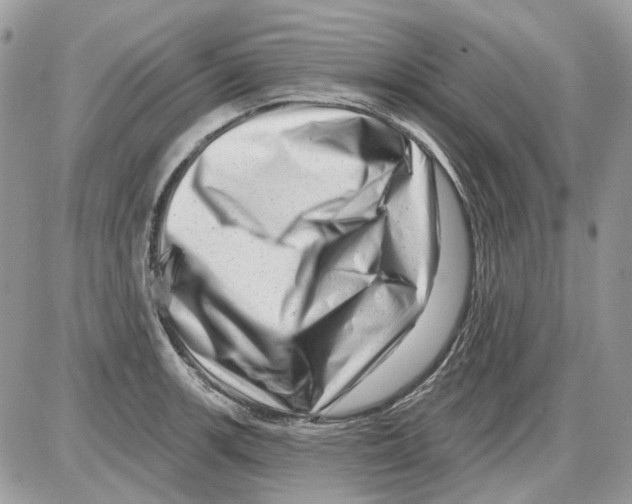 X0000086101139200704202234