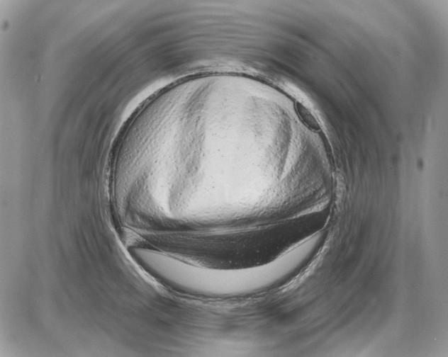 X0000086101141200704202234