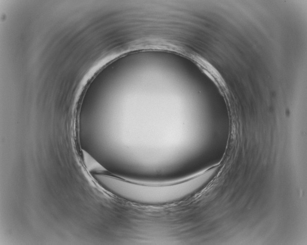 X0000086101144200704202234