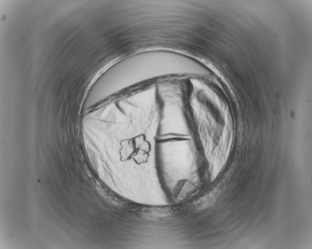 X0000086101145200704202234