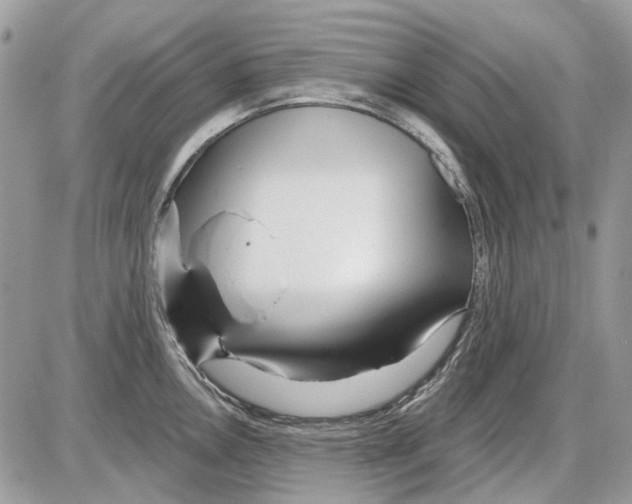 X0000086101146200704202234