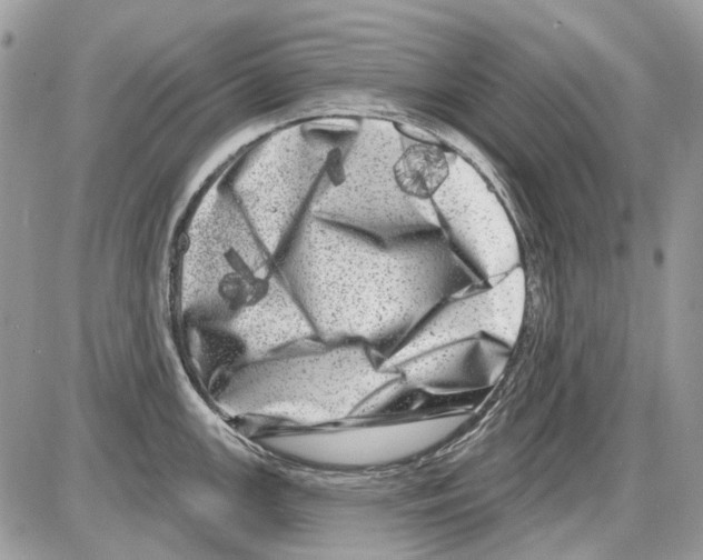 X0000086101147200704202234