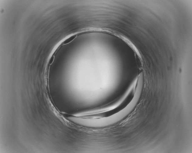 X0000086101148200704202235