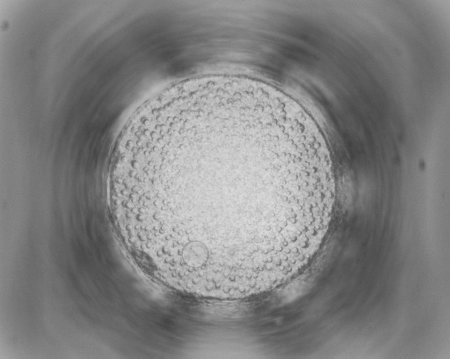 X0000086101150200704202235