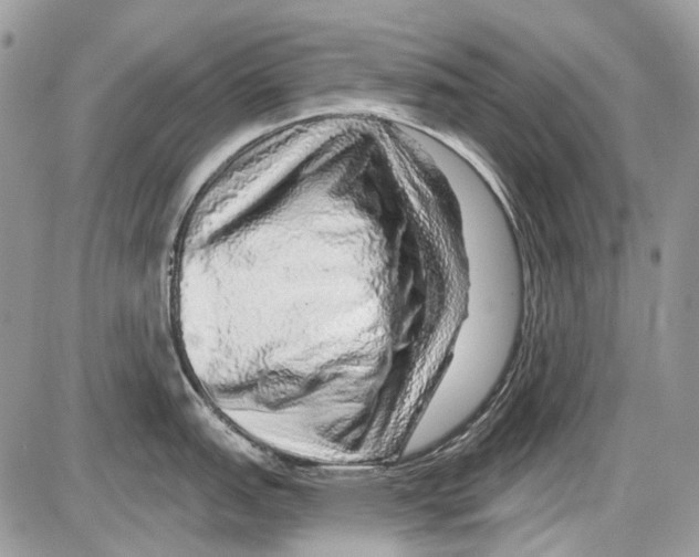 X0000086101151200704202235