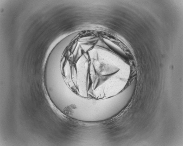 X0000086101152200704202235