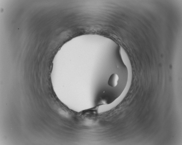 X0000086101153200704202234