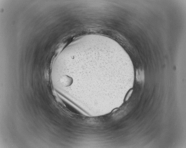 X0000086101155200704202234