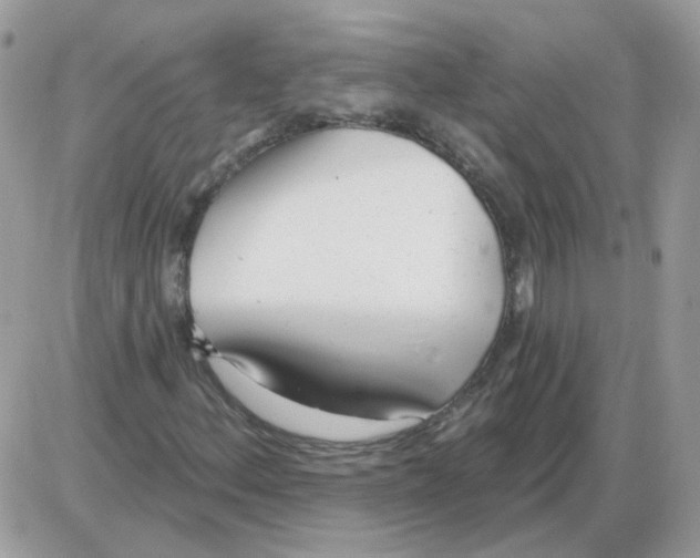 X0000086101156200704202234