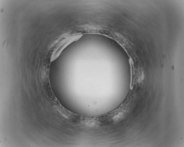 X0000086101157200704202234