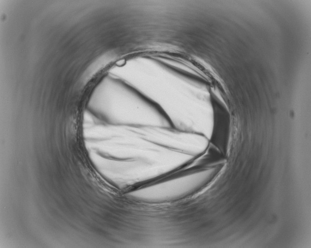 X0000086101163200704202234