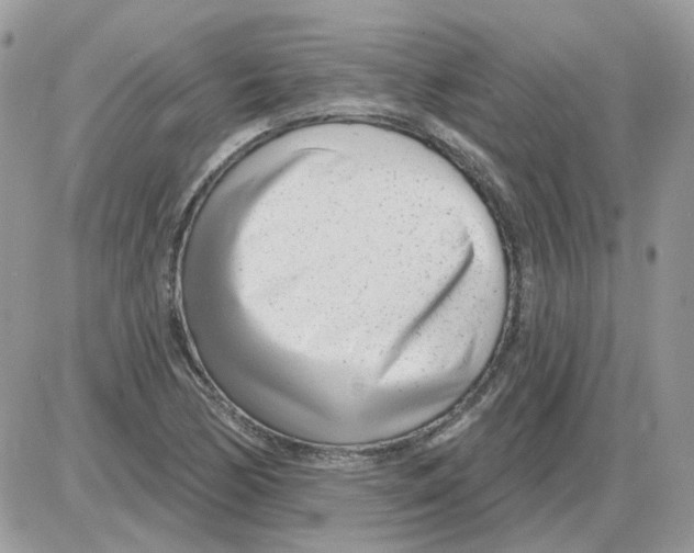 X0000086101170200704202234
