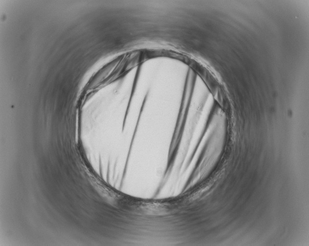 X0000086101175200704202233