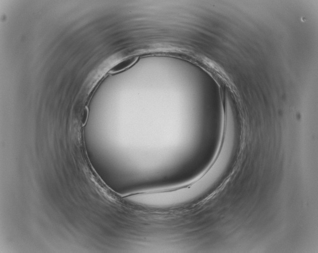 X0000086101177200704202233