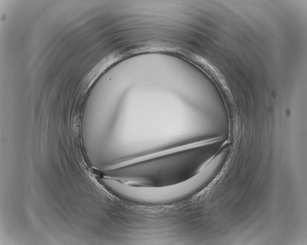 X0000086101185200704202233