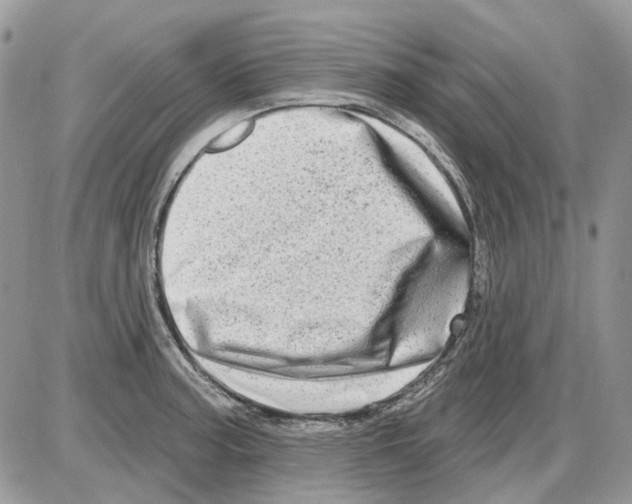 X0000086101187200704202233