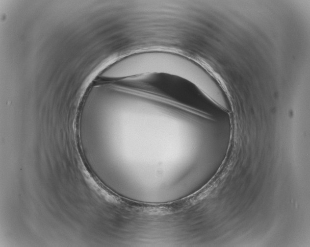 X0000086101189200704202233