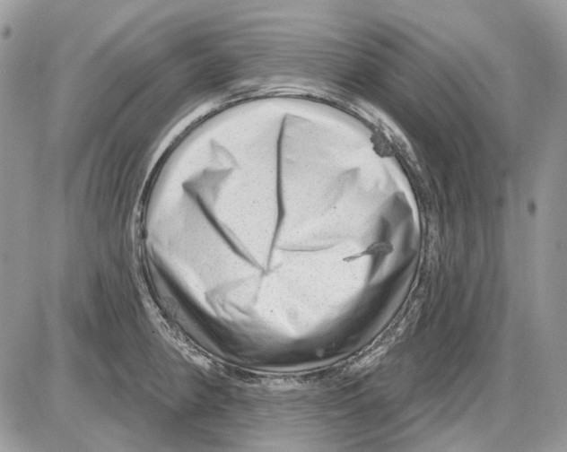 X0000086101190200704202233