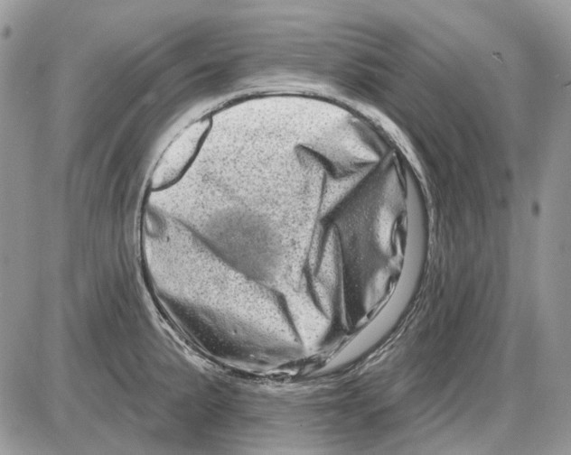 X0000086101191200704202233