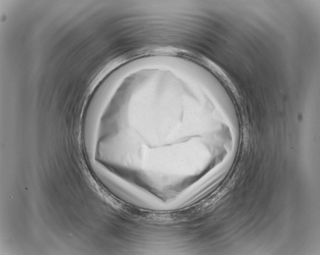 X0000086101194200704202233