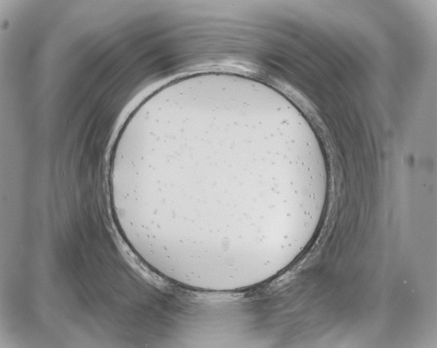 X0000086101200200704202233