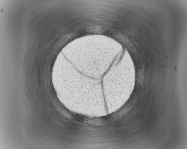 X0000086101201200704202232