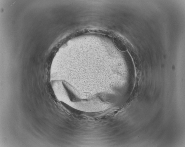 X0000086101207200704202232