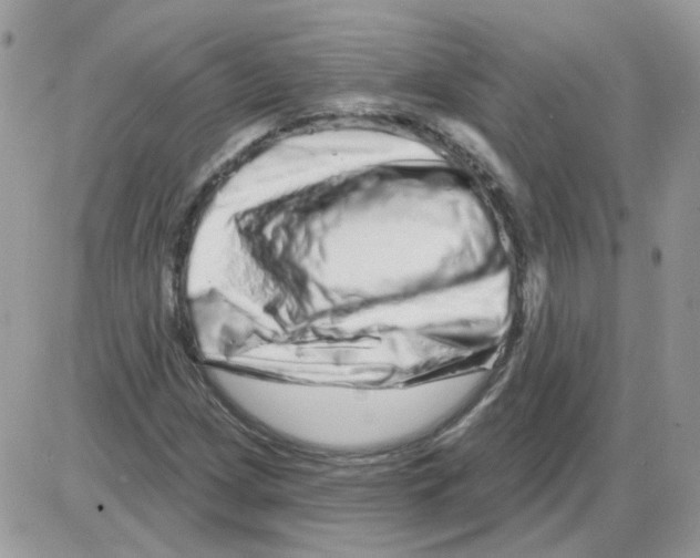 X0000086101209200704202232