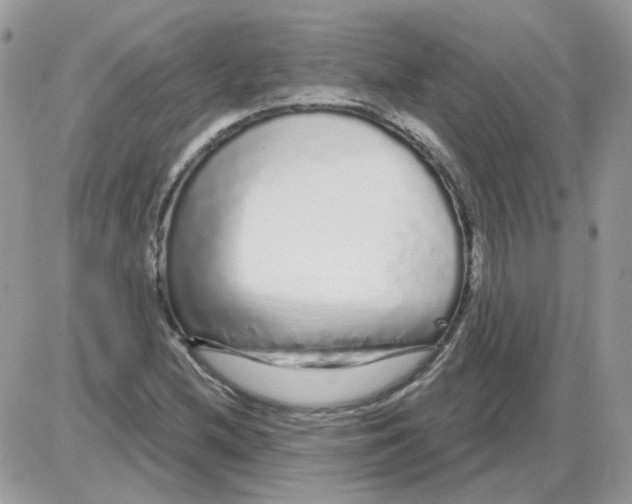 X0000086101212200704202232
