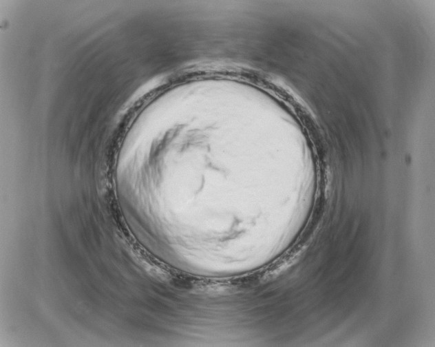 X0000086101213200704202232