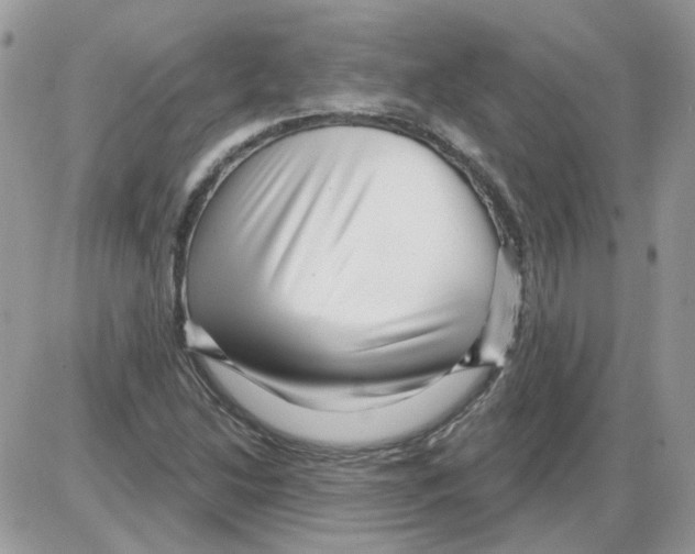 X0000086101214200704202232