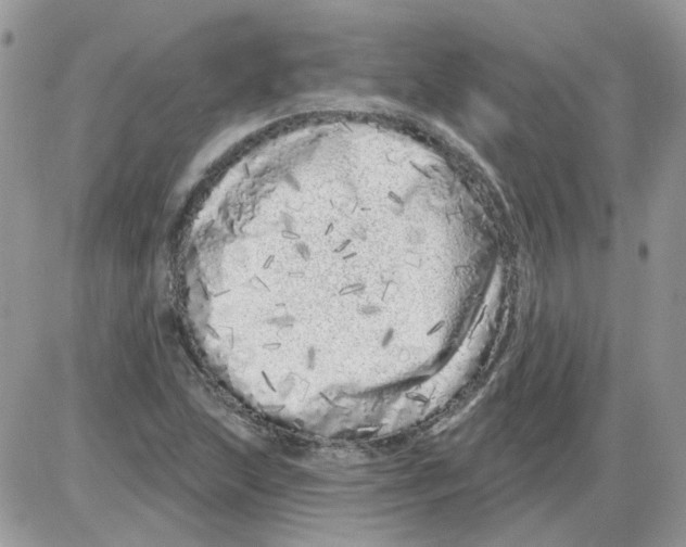 X0000086101215200704202232