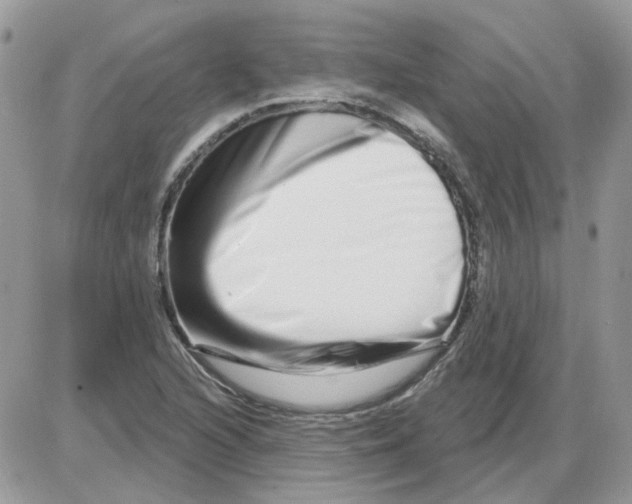 X0000086101216200704202232