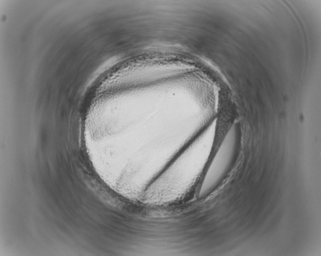 X0000086101219200704202233