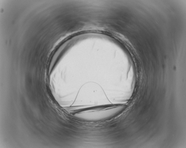 X0000086101220200704202233