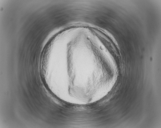 X0000086101231200704202233