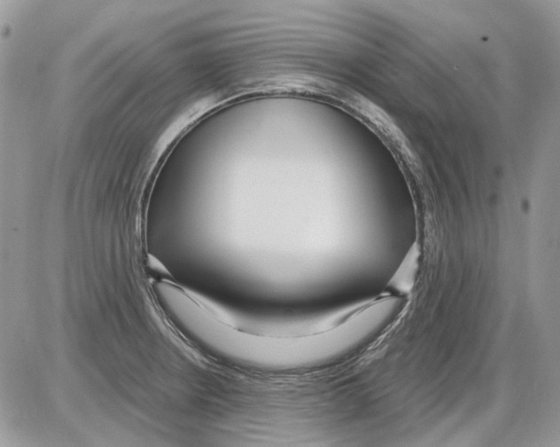 X0000086101234200704202233
