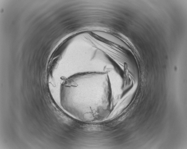 X0000086101236200704202233