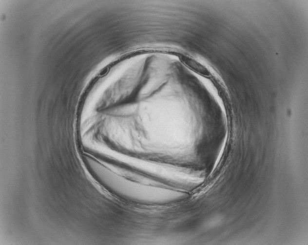 X0000086101237200704202233