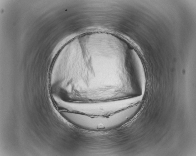 X0000086101239200704202233